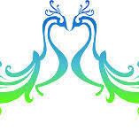 Two Peacocks