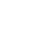 The Car Buyer
