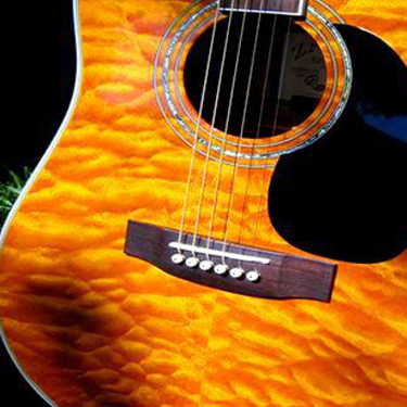 Zager Guitars