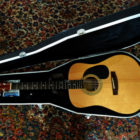 Zager Guitars
