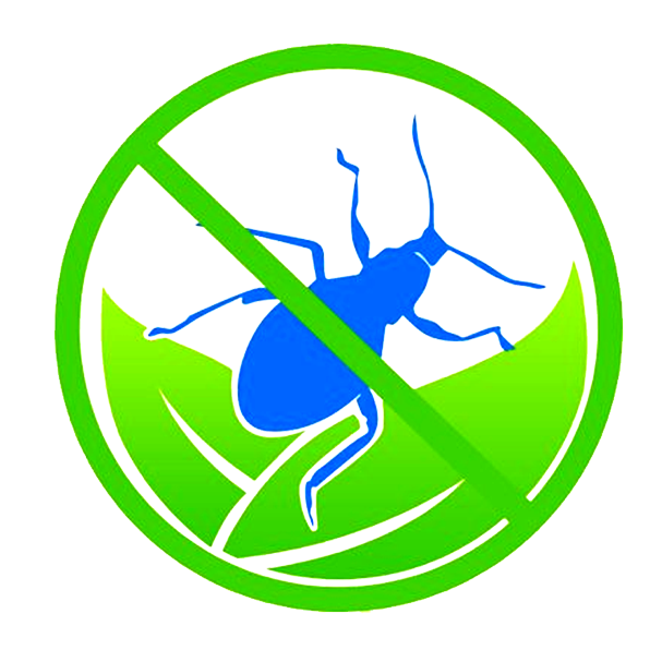 Same Day Pest Control Services