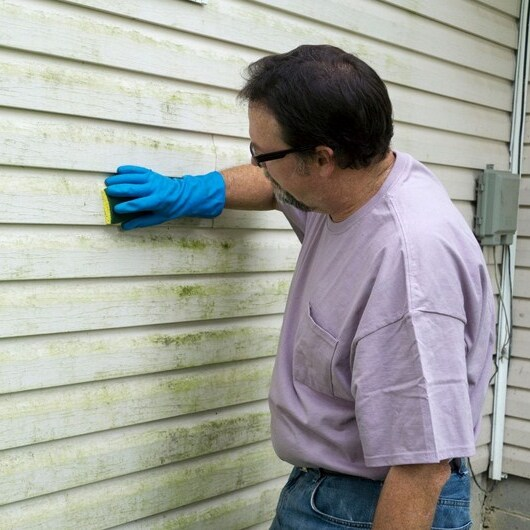 Mold Experts of Omaha
