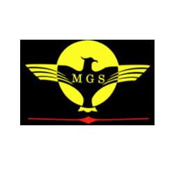 Metro Guard Services