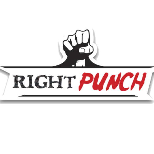 Right Punch Inc