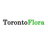 Toronto Flora - Startupxplore Toronto Flora
