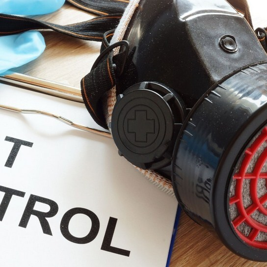 Plano Pest Control Experts