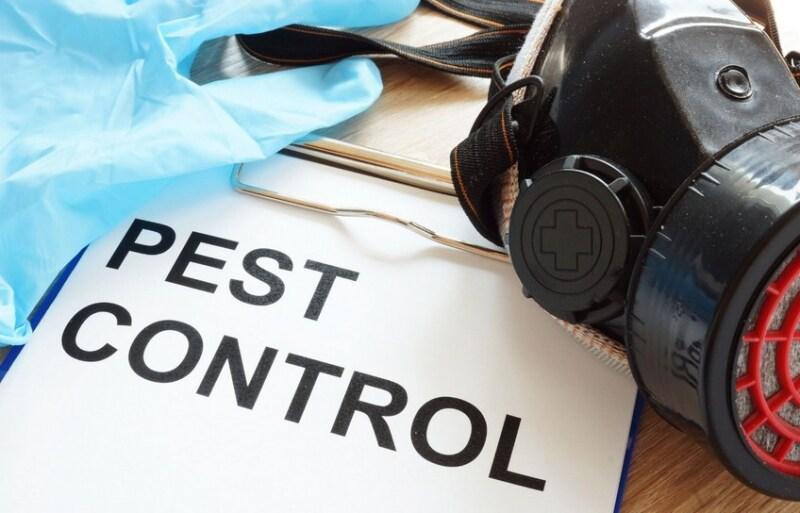 Images from WPB Pest Control Solutions