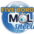 Five Boro Mold Specialist