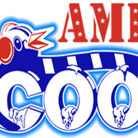 Americool Air Conditinioning and heating