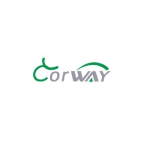 Wuhu Corway Vehicle Industry Co., Ltd.