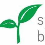 Spring Bank - Personal & Business Checking Account