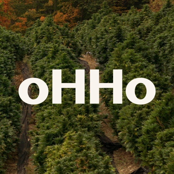 Certified Organic CBD Flower