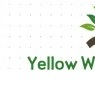 Plant Supplier in India