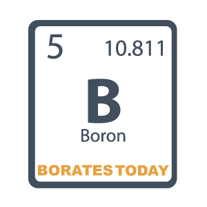 Boratestoday