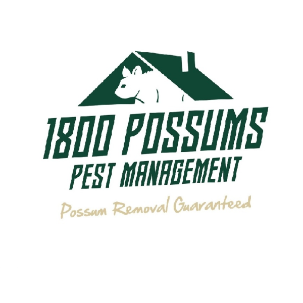 1800 Possums