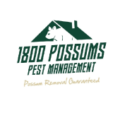 1800 Possums - Startupxplore 1800 Possums