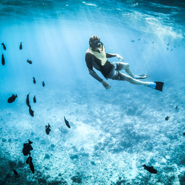 Art of Diving