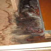 Miami Water Damage Restoration - Startupxplore Miami Water Damage Restoration