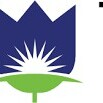 TULIP HILL