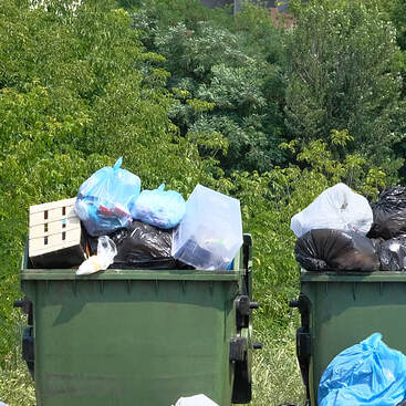 Dumpster Rentals Tampa FL