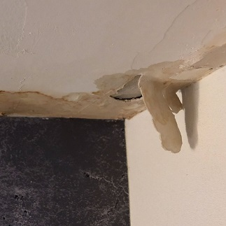 Water Damage Experts of Alpharetta