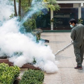 Pest Control Experts of Austin