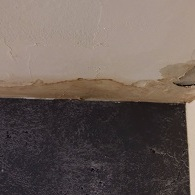 Mold Experts of Macon
