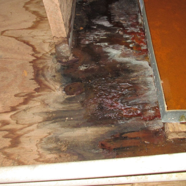 Mold Experts of South Bend
