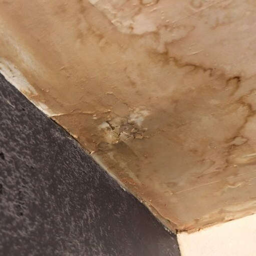 Mold Experts of Utah