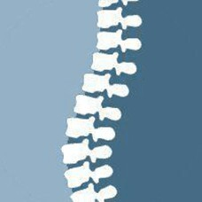 Everybody's Chiropractic