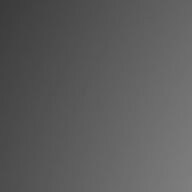 Premium Linguistic Services