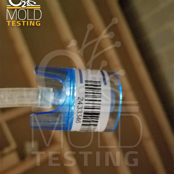 O2 Mold Testing