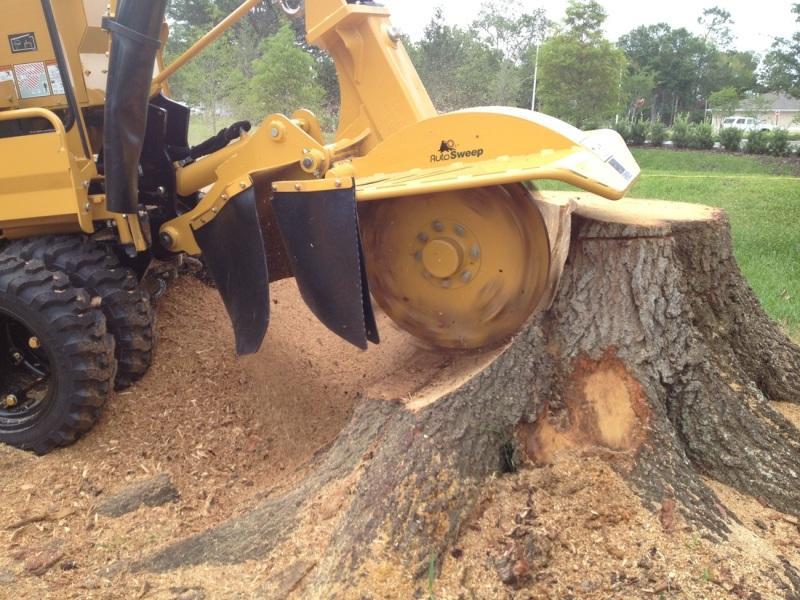 Images from Richardson Tree Service