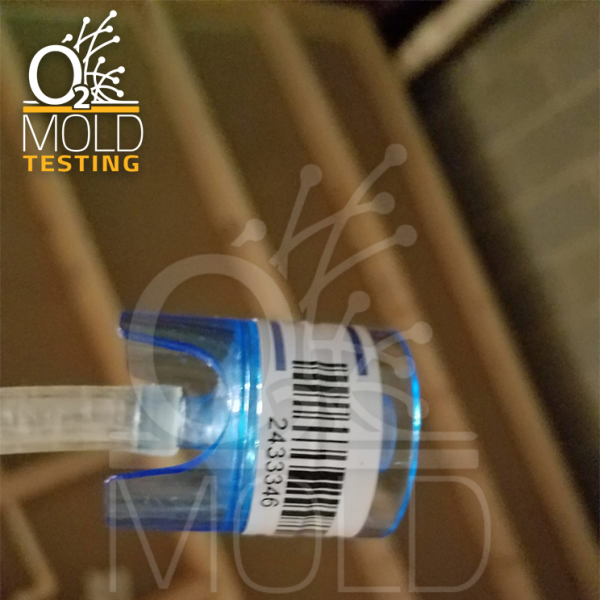 O2 Mold Testing