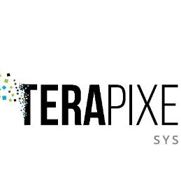 Tera Pixels