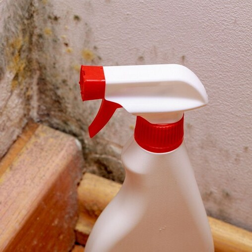 Fox Valley Mold Solutions