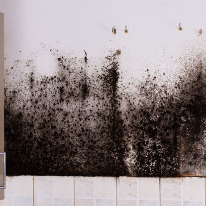 Old Line Mold Solutions