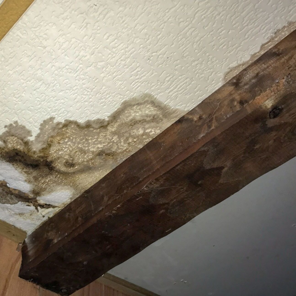 Water Damage Solutions of Agoura Hills