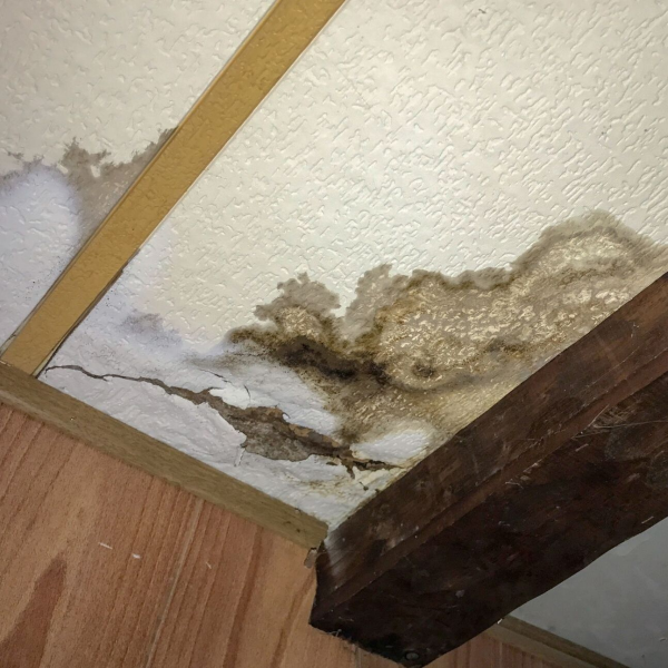 Water Damage Experts Of Queen City