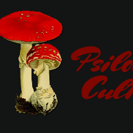 Psilocybin Culture