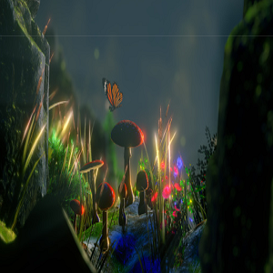 Psilocybin Culture