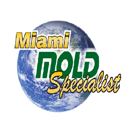 Miami Mold Specialists