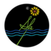 riverdayspa - Startupxplore riverdayspa
