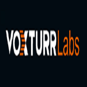 VoxturrLabs