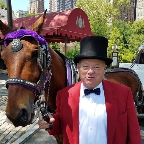 Central Park Carriages