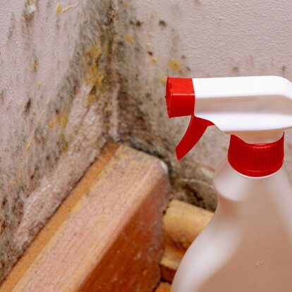 Mold Experts of NYC