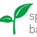 Spring Bank - Personal Savings Account