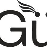 Guzelconcepts
