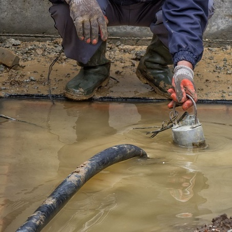 Water Damage Experts of Meridian