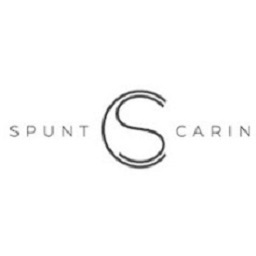 Spunt & Carin - Best Family Law Firm in Montreal